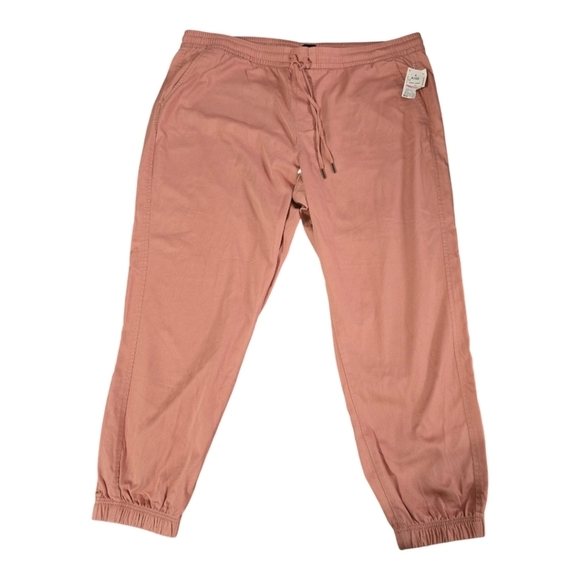 Gap Jogger Pants Women Blush XXL Elastic Waistband Pockets Tassles Athletic New - Picture 1 of 13